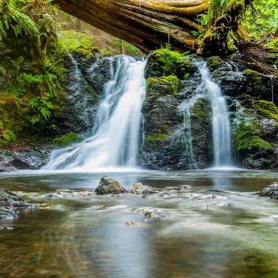 摘得双料“新质”大奖！格创东智...