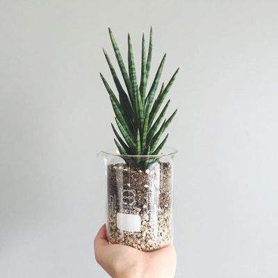 昆仑海岸 · 测压力，高效流体控...