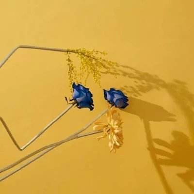 耳帝锐评周杰伦新专辑